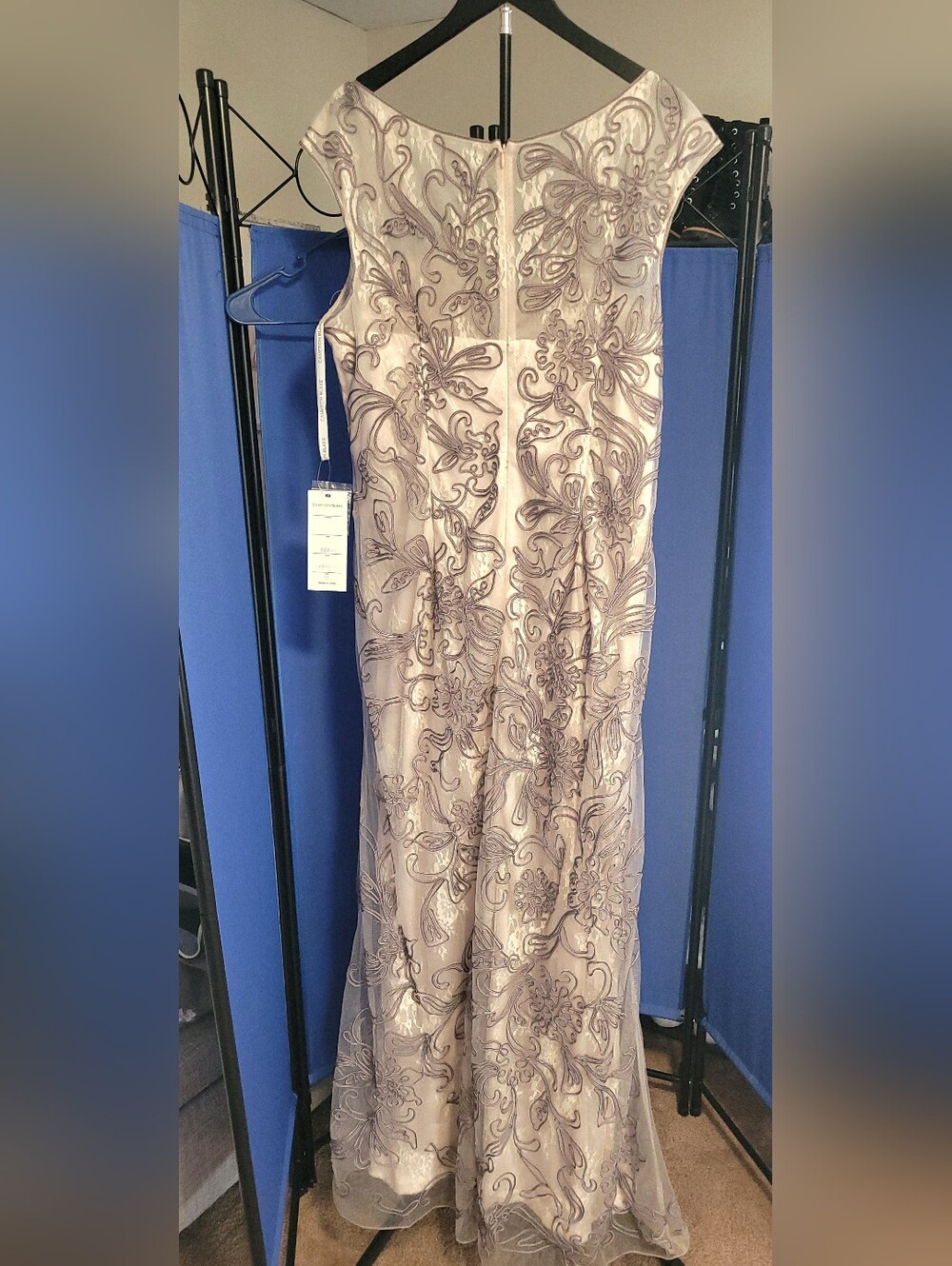 Cameron Blake Blush Maxi Dress with Silver Embroidery - Picture 9 of 9